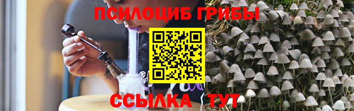 Псилоцибиновые грибы ЛСД  Вход с VPN  Рассказово  Галлюциногенные грибы GOLDEN TEACHER 